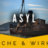 6269674Asyl_-_Ursache_und_Wirkung